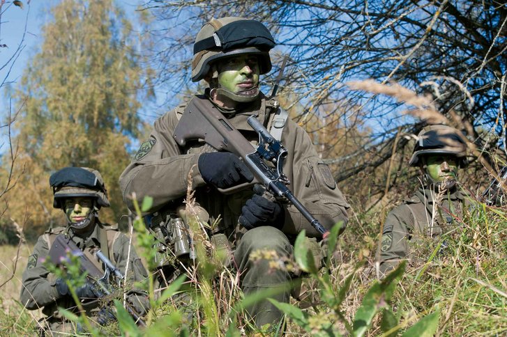 Ein Kommandant beurteilt das Gelände und die Lage auf dem Gefechtsfeld. (Foto: Bundesheer/Berger Mario)