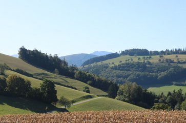 Blick von der Kapelle Richtung Meiselhöhe und Kaiserkogel, jenem Abschnitt wo die letzte Frontlinie verlief. (Foto: RedTD/Gerold Keusch) 