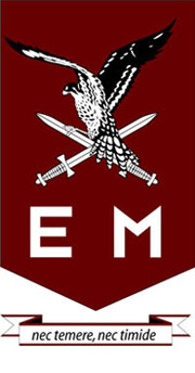 Het embleem van 11 Luchtmobiele Brigade: een biddende valk met daaronder 2 gekruiste zwaarden in een wijnrood schild.