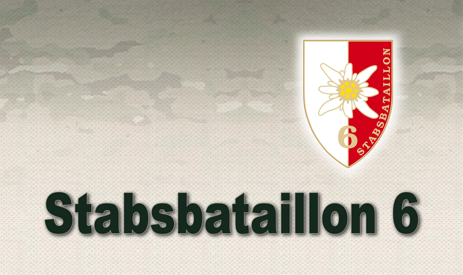 Stabsbataillon 6 Truppendienst
