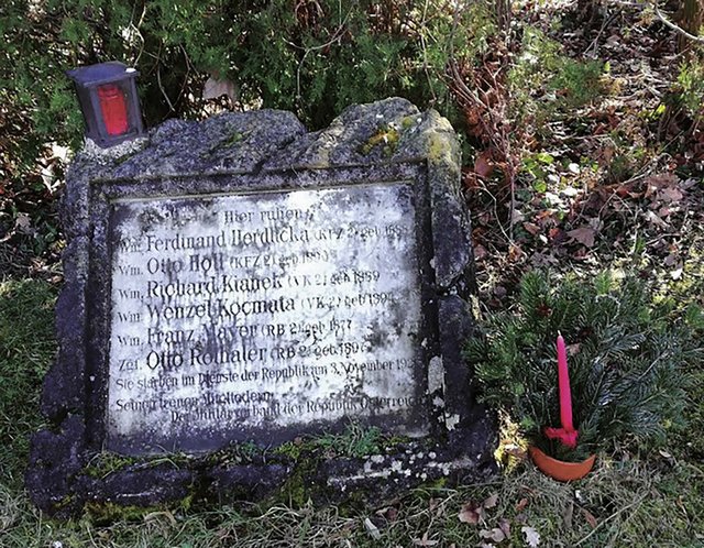 Das Grab der Verunglückten von Edlitz auf dem Wiener Zentralfriedhof. (Foto: Österreichisches Schwarzes Kreuz)