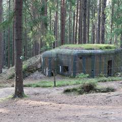 MG-Bunker vom Modell 37 in einer ehemaligen Waldstellung bei Slavonice. (Foto: RedTD/Gerold Keusch)