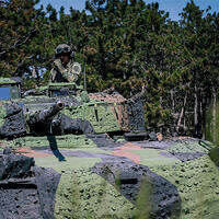 (Foto: Bundesheer/Rainer Zisser)