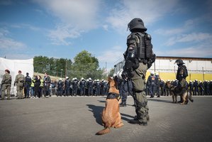 Soldaten und Polizisten üben den Einsatz an einem Grenzübergang. (Foto: HBF/Trippolt)