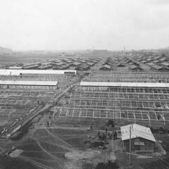 Das Kriegsgefangenenlager Wieselburg während der Bauphase im Jahr 1915 . (Foto: Archiv Franz Wiesenhofer)