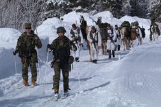 Gesicherter Fußmarsch im Gebirge mit Tragtieren. (Foto: Bundesheer/Martin Hörl)