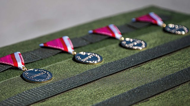 (Foto: Bundesheer/Paul Kulec)