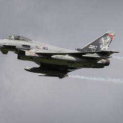 (Foto: Bundesheer/Daniel Trippolt)