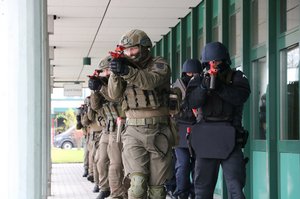 Das Bundesheer und die Polizei bei einer gemeinsamen Übung. (Foto: Bundesheer/Michael Kerschat)