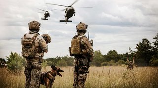 (Foto: Horst Gorup/Bundesheer)