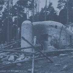 Ein leichter Bunker des Tschechoslowakischen Walls in einem Wald nach der Annexion des Sudetenlandes. (Foto: Militärmuseum Prag)