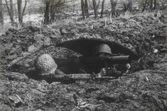 Zwei Schützen - einer mit dem Panzerabwehrrohr 66/79 (PAR 66/79), der andere mit dem Sturmgewehr 58 (StG 58) - in Stellung. (Foto: Bundesheer/Archiv Truppendienst)