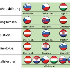 Verantwortlichkeiten innerhalb der CEDC-LP. (Grafik: Bundesheer/Christian Kersch)