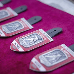 Abzeichen des Unteroffizierslehrganges "Zugsführer Franz Lippert". (Foto: Bundesheer/Daniel Trippolt)