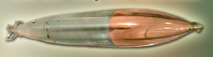 Ein Whitehead 35 cm-Versuchs Torpedo. (Foto: HGM)