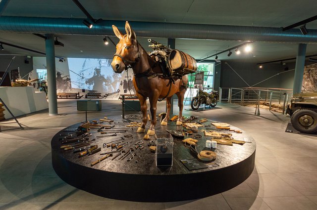 Die Alpini setz(t)en sowohl auf Tragtiere als auch auf gebirgsbewegliche Artillerie. (Foto: Museo Nazionale Storico degli Alpini)