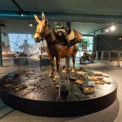 Die Alpini setz(t)en sowohl auf Tragtiere als auch auf gebirgsbewegliche Artillerie. (Foto: Museo Nazionale Storico degli Alpini)