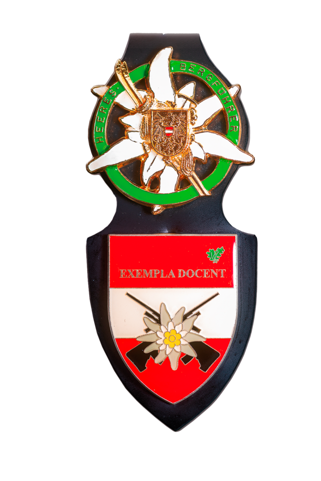 Abzeichen eines Heeresbergführers des Gebirgskampfzentrums. (Foto: Bundesheer/Schlemmer)