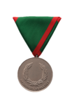 Verwundetenmedaille 2. Klasse BMI Vorderseite (Foto: Peter Steiner)