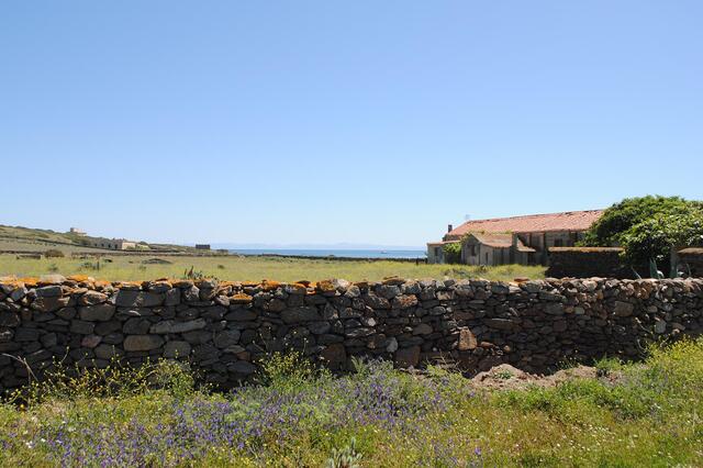 Mauerreste des ehemaligen Kriegsgefangenenlagers auf Asinara. (Foto: Martin Prieschl)