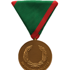 Verwundetenmedaille 1. Klasse BMI Vorderseite (Foto: Peter Steiner)