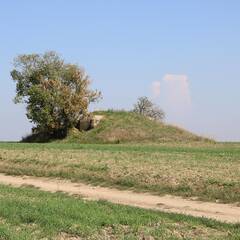 MG-Bunker vom Modell 37 auf einer freien Fläche bei Satov. (Foto: RedTD/Gerold Keusch)