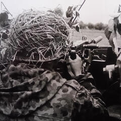 (Foto: Archiv Truppendienst)