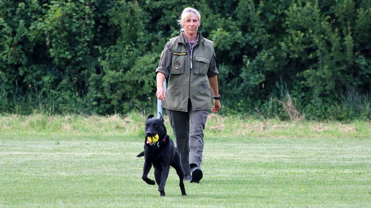 Eine Militärhundeführerin mit ihrem Kampfmittelspürhund. (Foto: Archiv MilHuZ)