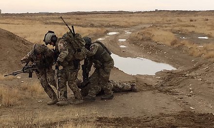 Deutsche und österreichische Soldaten ziehen den Übungsverletzten in den Schutz eines nahegelegenen Hügels. (Foto: Bundeswehr/Fischer)