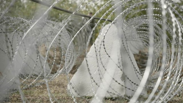 (Foto: 23rd Engineer Positioning Regiment/Ukraine; CC BY-SA 4.0)