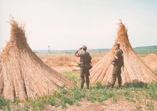 Streifen und Posten bei der Grenzraumüberwachung an der österreichischen Staatsgrenze im Burgenland zwischen 1990 und 2007. (Foto: Bundesheer)