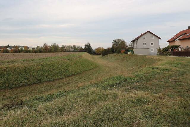 Der Graben im Bereich der Nordwestecke des ehemaligen Legionslagers ist heute noch vorhanden. (Foto: RedTD/Gerold Keusch)