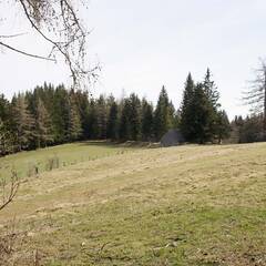 Im Bereich der Hütte befand sich ein deutsches Maschinengewehr, das über die freie Fläche wirkte. Die Geländekante zwischen der Hütte und dem Waldeck wurde als Stellung verwendet. In Verlängerung der Geländekante gab es im Wald weitere Stellungen. (Foto: Gerold Keusch)