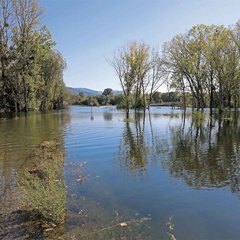 Das Hochwasser überschwemmte große Flächen. (Foto: Bundesheer/Rebecca Heindl)