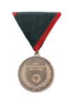 Verwundetenmedaille 2. Klasse BMLV Vorderseite (Foto: Peter Steiner)