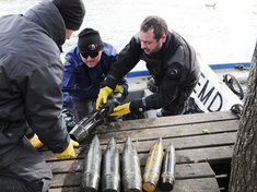 Spezialisten des Entminungsdienstes bergen Kriegsmunition aus einem Gewässer. (Foto: Bundesheer/Franz Hartl)