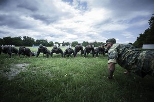 Der Soldatenberuf fordert sowohl die körperlichen als auch die geistigen Kapazitäten. (Foto: Bundesheer/Paul Kulec)