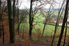 Blick auf die Senke, die sich etwa 200 m vor den Stellungen links der Häuser befindet. (Foto: Keusch)