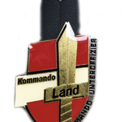 Jahrgang 2005: Das erste Verwendungsabzeichen für den KdoUO im Kommando Landstreitkräfte. (Foto: Bundesheer)