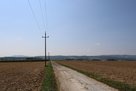 Dieser Weg zwischen Ober-Grafendorf und Rennersdorf auf der Anhöhe östlich der Pielach markierte die Frontlinie in den letzten Wochen des Krieges. (Foto: RedTD/Gerold Keusch)