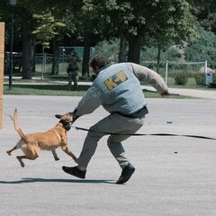 (Foto: Bundesheer/Sophia Bach)