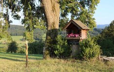 Dieses Erinnerungszeichen erinnert an einen Zivilisten, der während des sowjetischen Vorstoßes entlang des Schwarzenbachtales getötet wurde. (Foto: RedTD/Keusch)