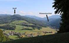 Blick vom Hinterleitner Kogel in das Gölsental. (Foto: RedTD/Keusch)