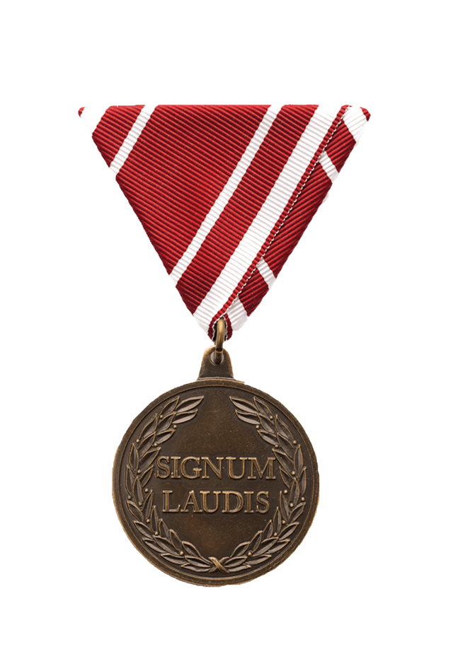 Militäranerkennungsmedaille Vorderseite (Foto: Peter Steiner)