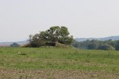 MG-Bunker vom Modell 37 auf einer freien Fläche bei Satov. (Foto: RedTD/Gerold Keusch)