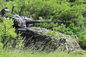 Ein Schützenpanzer „Ulan“ steht getarnt zwischen hohen Sträuchern. (Foto: RedTD)