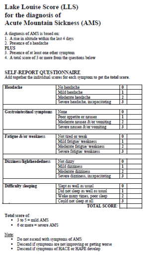 Der Lake Luise Score ist ein Standardverfahren zum selbstständigen Feststellen der Höhenkrankheit. (Grafik: RNLMC)