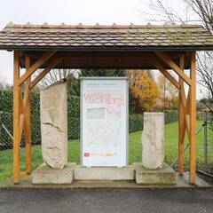 Infotafel zu Lauriacum mit Artefakten. (Foto: RedTD/Gerold Keusch)