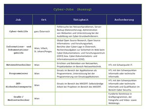 Cyber-Jobs (Grafik: TRUPPENDIENST)