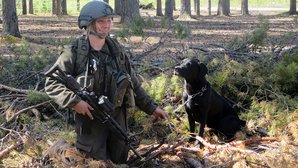 Militärhundeführerin des Bundesheeres mit Labrador. (Foto: Archiv MilHuZ)